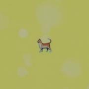Mitoo Кот
