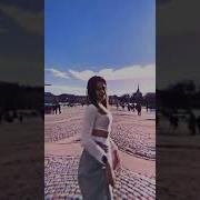 Динь Дон Мои Суки Звонят