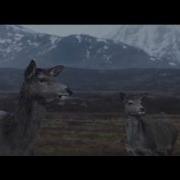 Sarah Blasko All I Want Beny Remix Киты В Небе