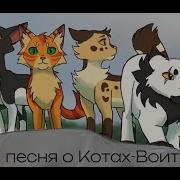 Песня О Котах Воителях