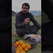 Зино Духтари Точик Бо Марди Афгон