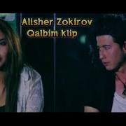 Alisher Zokirov Qalbim Yig Laydi Mp3