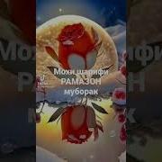 Рамазон Табриги Видео