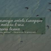 Я Не Виню Тебя За Любовь