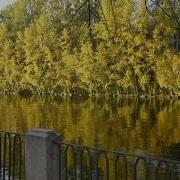 Осень За Окном