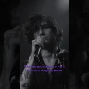 Холидейбой Мотыльки