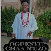 Chief Michael Udegbi Ogbenye Chaa N Uzo