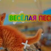 Бандит Песня Хаски Я Не Мил Тебе Я Не Диши Подписчиков 100000