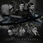 Alex Calancea Band Razaseasca Lupilor