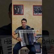 Два Аккордеона Карело Финская Полька