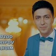 Sherzod Sharipov Pari Шерзод Шарипов Пари Music Version