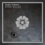 Gordey Tsukanov Stray Bullet