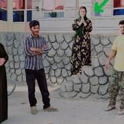 C Хари По Троху
