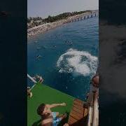 Прыгнул Бомбочкой