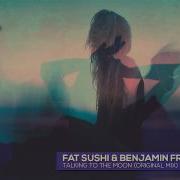 Talking To The Moon Mixed Fat Sushi Benjamin Franklin