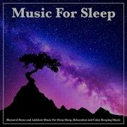Brainwave Entrainment And Alpha Waves Sleep
