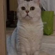 Нюхай Мои Вонючие Балетки