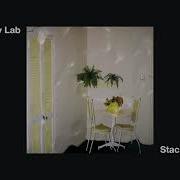 Stacked Ivy Lab