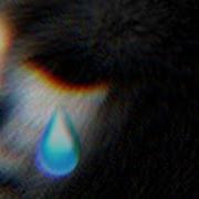 Everybody Dies In The End Xam