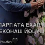 Ма Санна Дика Да Цхьанне Вац Бохуш