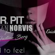 Afraid To Feel Erick Fill Remix Mr Pitsean Norvisfeat Justine Berg