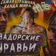 Ms 13 Самая Жестокая Банда В Мире Новая Мафия