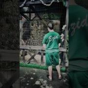 Они Идут Кто Армяни