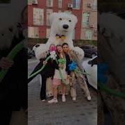 Мишка Поздравляет