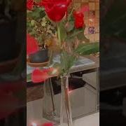 Я Че Умерла Что Ли А Че Столько Цветов