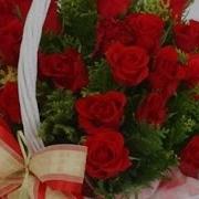 Бархатная Свадьба