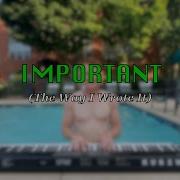 Important The Way I Wrote It Lan Mconnell