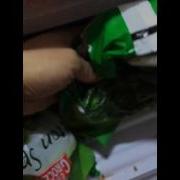 Howtobasic Finlandeese