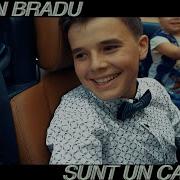 Sunt Un Calator Adrian Bradu