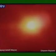 Шерали Жураев Яралган Кушиги