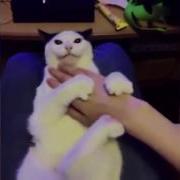 Звук Проигрыша Ам Ням