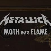 Moth Into The Flame