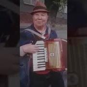 Пей До Дна Если Просит Тебя Тамада