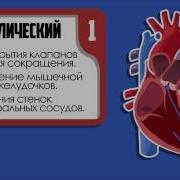 Аускультация Сердца Основные Тоны