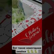 Змейка Змейка Счастье Принесёт