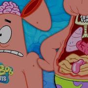 Every Time We See S Insides Spongebob