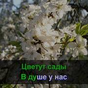 Караоке Один Раз В Год Сады Цветут Анна Герман