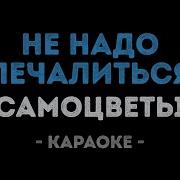 Не Надо Печалиться Караоке