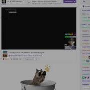 Поздравление С Днем Рождения Rofl