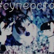 Пончик Шоу Суперстар Пародия
