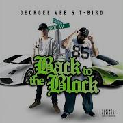 Did You Know Georgee Vee T Bird
