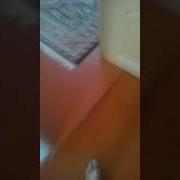 Я Короче Срал