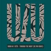 Through The Night Re You Remix Robin M Rêve