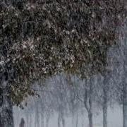 Снег Сдождем