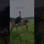 Dolinov Девчонка Трек В Сети 2023