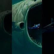 Edward Patrick White Bigger Than Shamu
